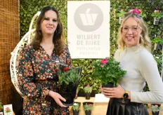 Heleen en Rianne de Rijke van Wilbert de Rijke met hun Ranunculus in 12cm pot. Als kamerplant en buitenplant beschikbaar. De kamerplanten worden in een mooie hoes geleverd.